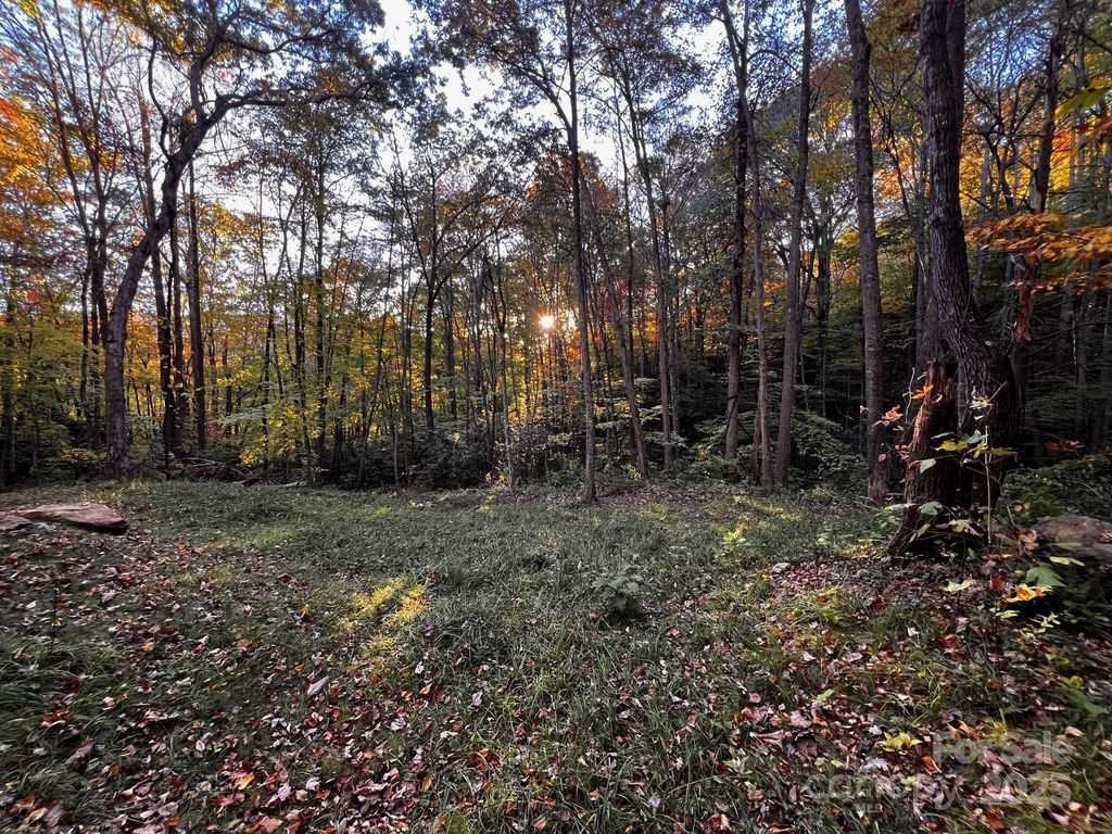 00 Rocky Face Drive 22, Canton, NC 28716