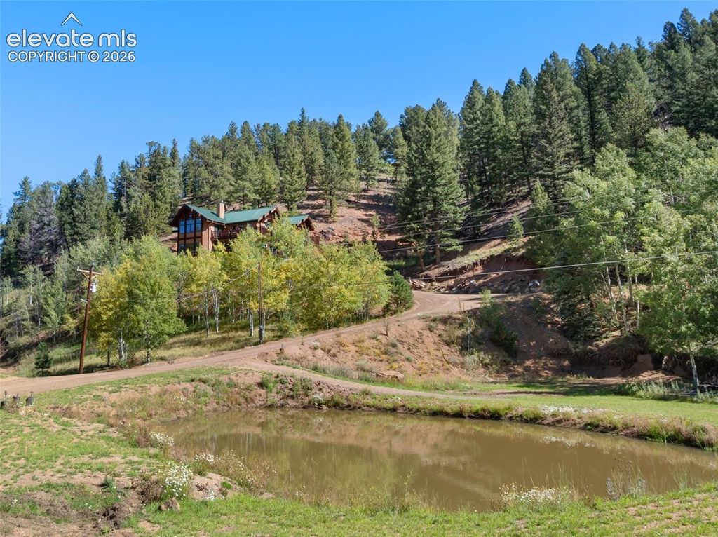 4214 Trout Creek Road, Woodland Park, CO 80863 — photo 4