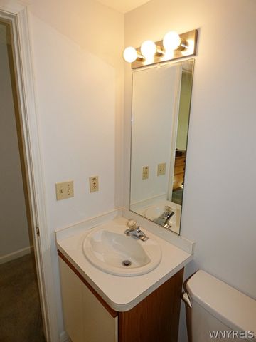 19 Crownview, Hamburg, NY 14075