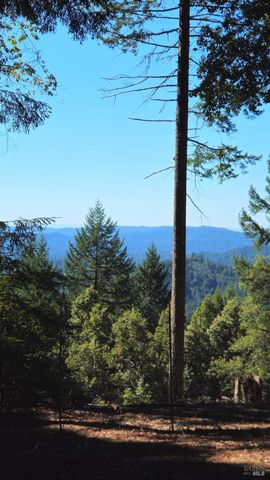 4020 Ridge Cir, Willits, CA 95490