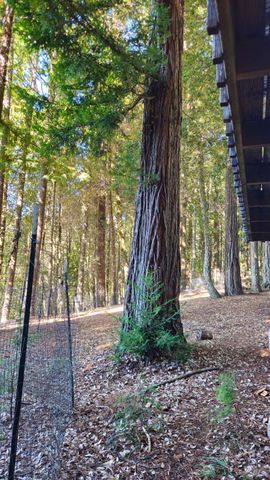 4020 Ridge Cir, Willits, CA 95490