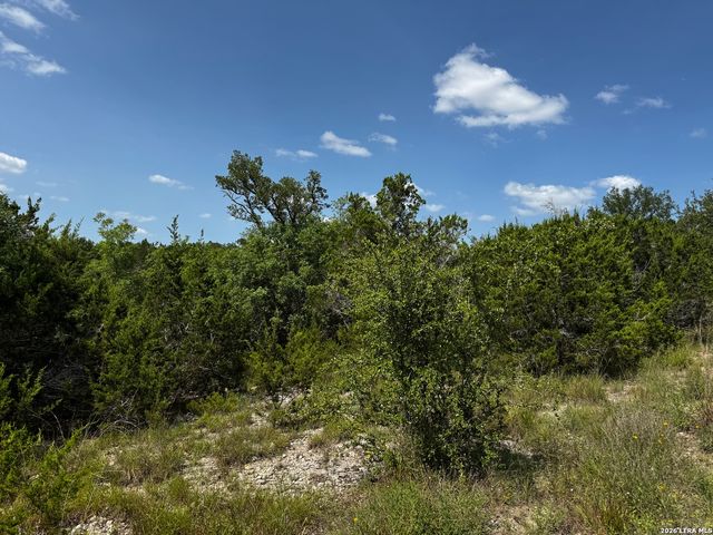 LOT 9 HILLSIDE DRIVE, Spring Branch, TX 78070