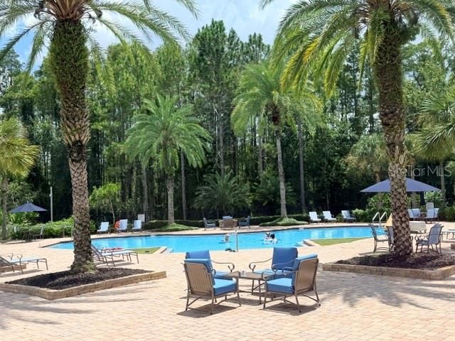 8429 AUBURN RISE COURT, Land O Lakes, FL 34638