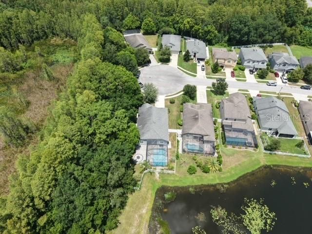 8429 AUBURN RISE COURT, Land O Lakes, FL 34638