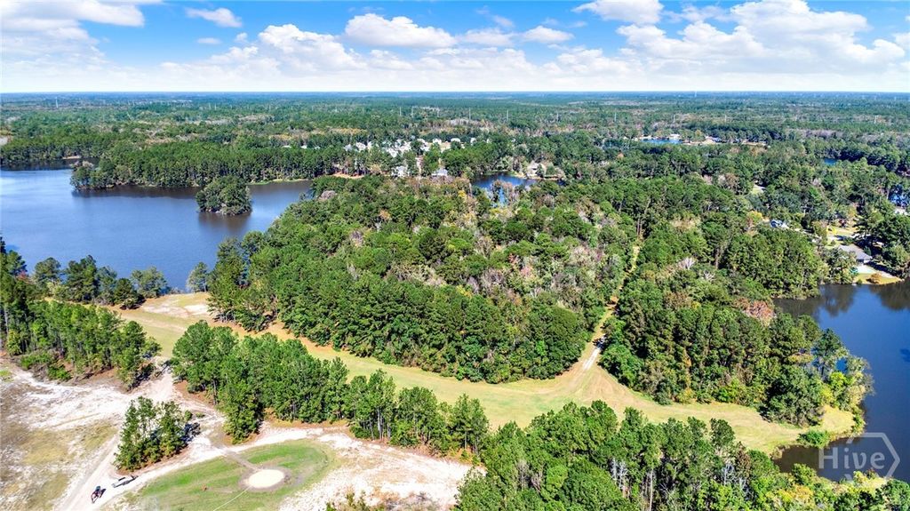 Image 36 of property listing at 208 Cypress Lake Drive, Bloomingdale, GA 31302