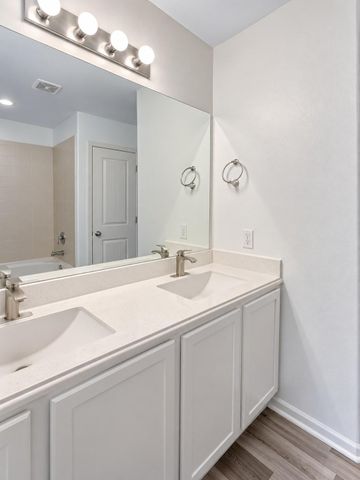 14118 Brunswick Place Drive, Houston, TX 77047