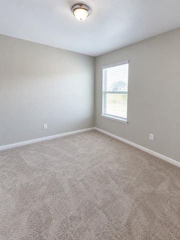 14118 Brunswick Place Drive, Houston, TX 77047