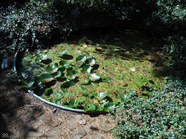 740 W Auman Drive, Carmel, IN 46032