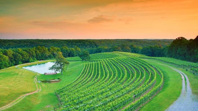 58 Rustin Ridge 278, Dahlonega, GA 30533