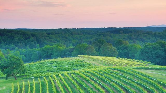 58 Rustin Ridge 278, Dahlonega, GA 30533