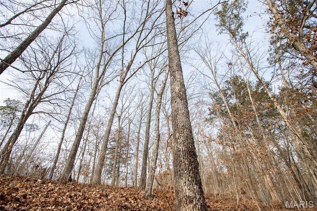 Lot 6-7 Wheel Estates, Villa Ridge, MO 63089
