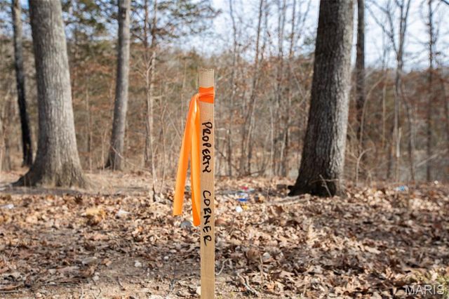 Lot 6-7 Wheel Estates, Villa Ridge, MO 63089