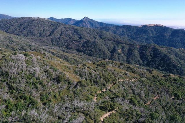 38875 Palo Colorado Road, Carmel, CA 93923