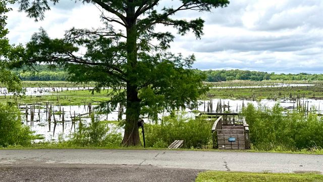 25 Shoreline Drive, Mayflower, AR 72106