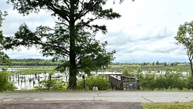 25 Shoreline Drive, Mayflower, AR 72106