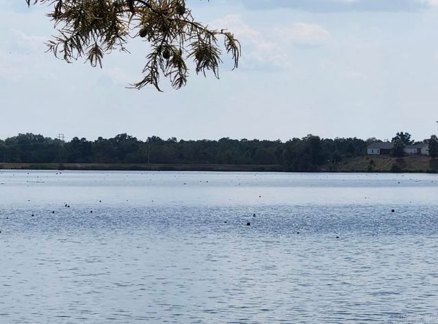 25 Shoreline Drive, Mayflower, AR 72106