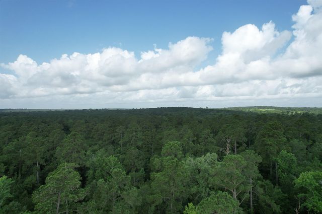 0000 CR 4020, Crockett, TX 75835