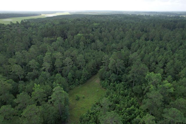 0000 CR 4020, Crockett, TX 75835