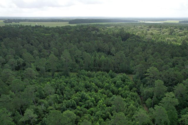 0000 CR 4020, Crockett, TX 75835