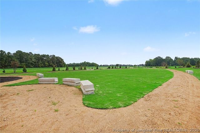 46 Grady Farm Way, Benson, NC 27504