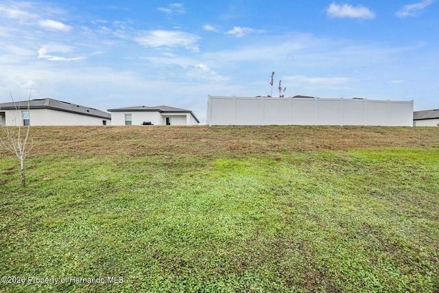 29159 Fedora Circle, Brooksville, FL 34602