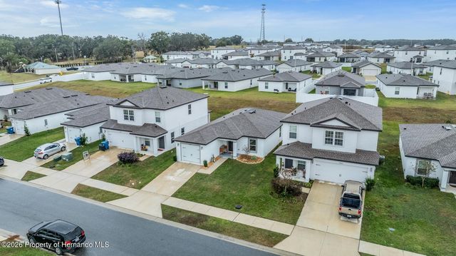 29159 Fedora Circle, Brooksville, FL 34602