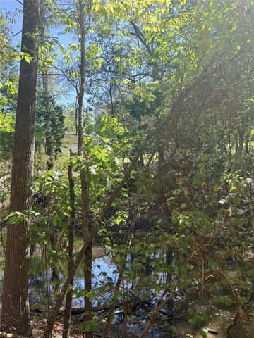 TBD Shadowood Lane, Coldspring, TX 77331