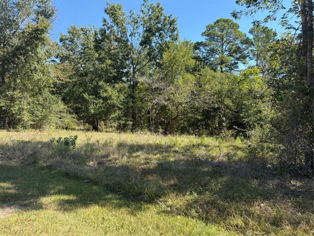 TBD Shadowood Lane, Coldspring, TX 77331