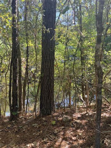 TBD Shadowood Lane, Coldspring, TX 77331
