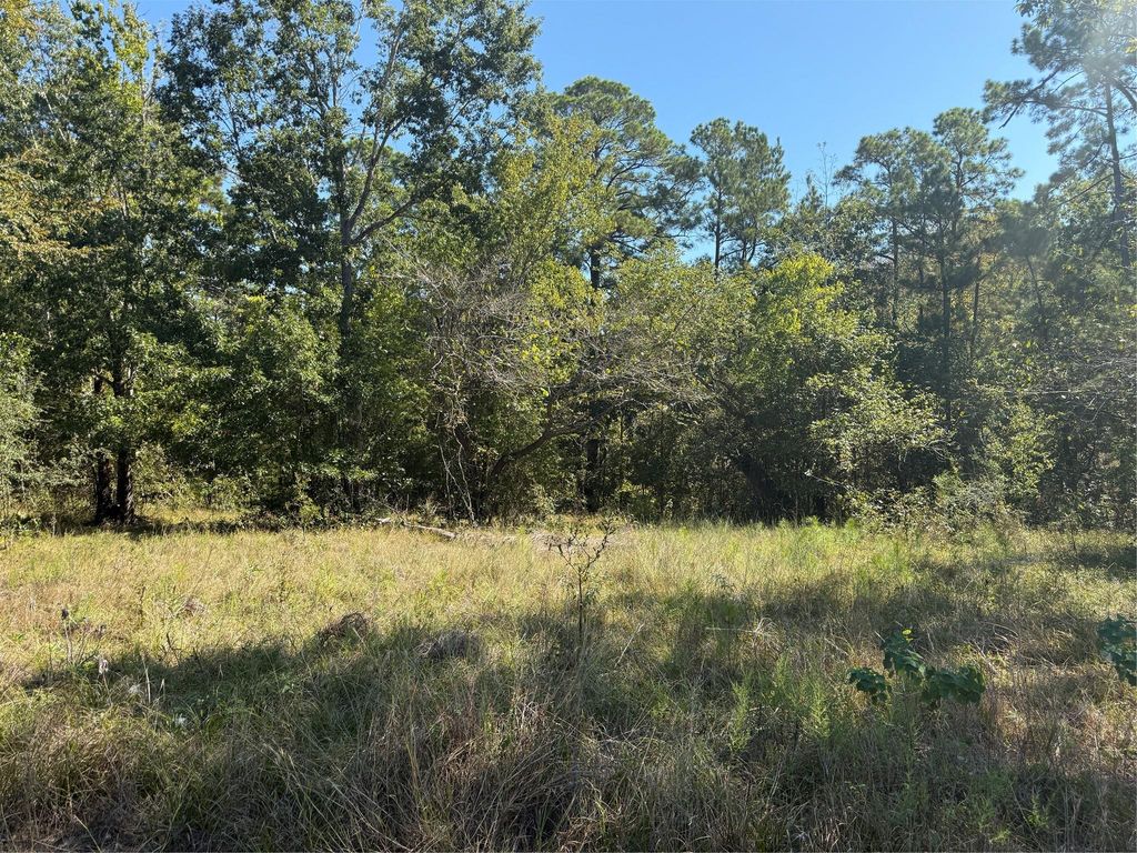 TBD Shadowood Lane, Coldspring, TX 77331