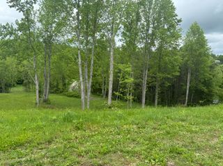 0 Union Moss Road, Moss, TN 38575