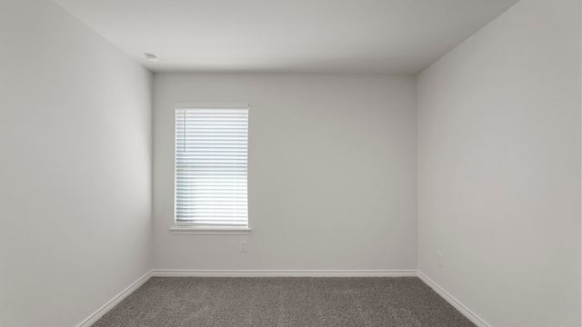 157 Willowbranch Drive, Fate, TX 75087