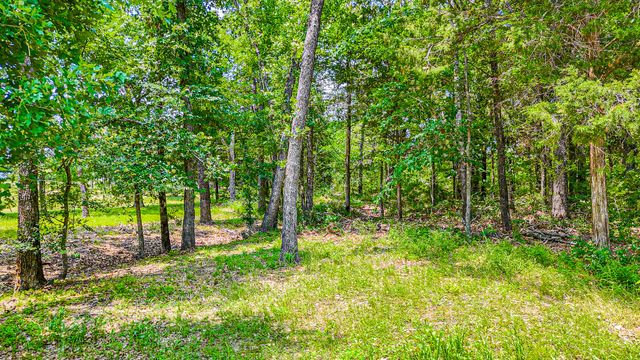 Lot 441 Waters Edge, Corsicana, TX 75109