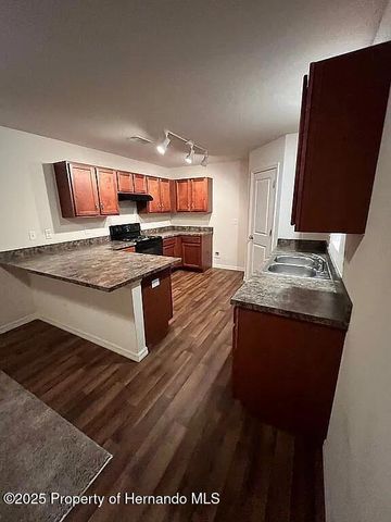 6210 Alderwood Street, Spring Hill, FL 34606