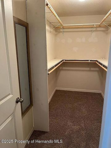 6210 Alderwood Street, Spring Hill, FL 34606