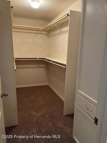 6210 Alderwood Street, Spring Hill, FL 34606