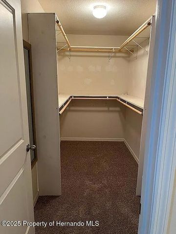 6210 Alderwood Street, Spring Hill, FL 34606