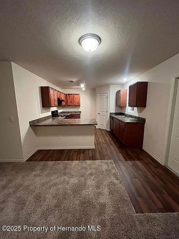 6210 Alderwood Street, Spring Hill, FL 34606