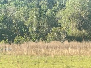 10 Beards Bluff Road, Odum, GA 31555