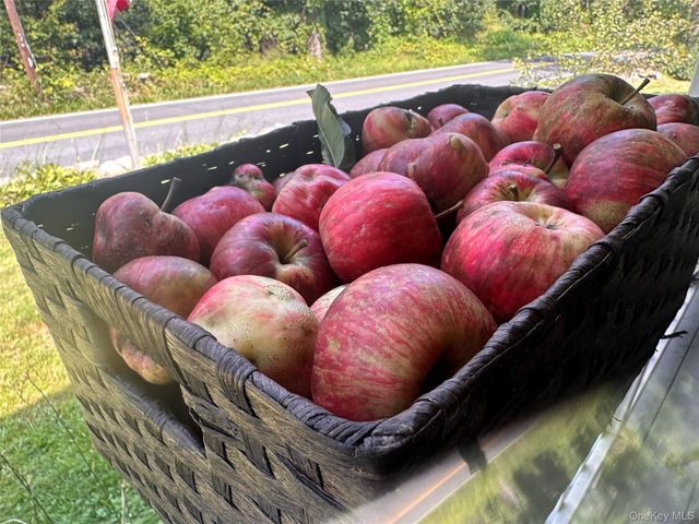 355 Fosler Road, Wallkill, NY 12589