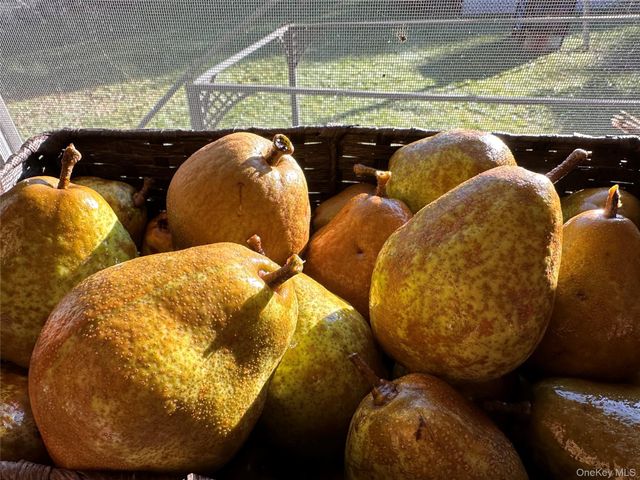 355 Fosler Road, Wallkill, NY 12589