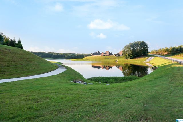 443 LAKE CHELSEA WAY, Chelsea, AL 35043