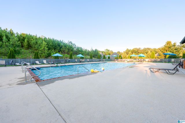 443 LAKE CHELSEA WAY, Chelsea, AL 35043