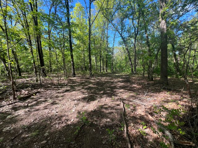 000 Temperance Valley Road, Goodman, MO 64843