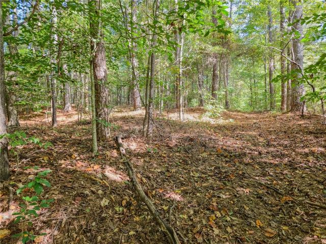 2997 Spring Lake Drive, Buford, GA 30519