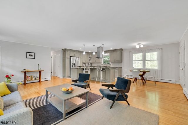 195 Old Somerset Rd, Watchung Boro, NJ 07069