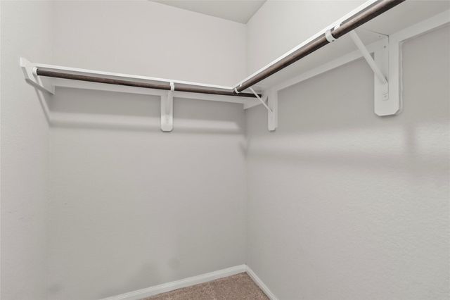 4831 Blue Jacaranda Way, Spring, TX 77373