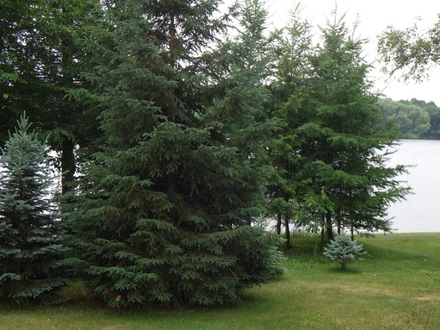 305 RIVERVIEW DRIVE, Marion, WI 54950