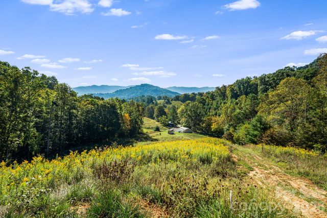 456 Maney Branch Road, Burnsville, NC 28714