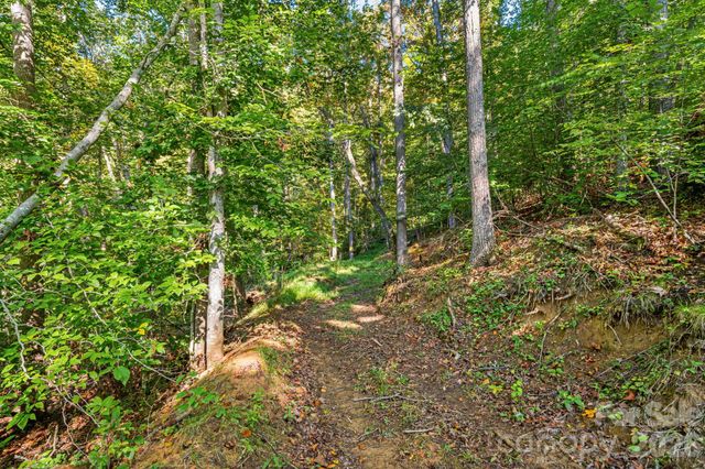 456 Maney Branch Road, Burnsville, NC 28714